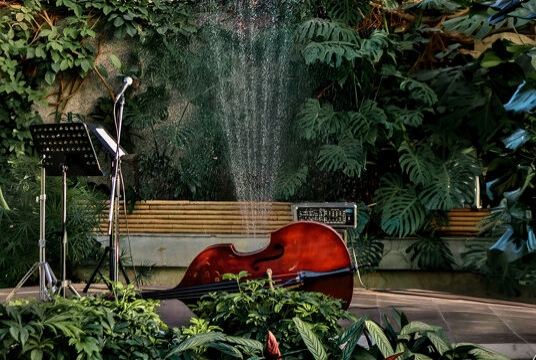 Музыка в Оранжерее. Mazal Jazz