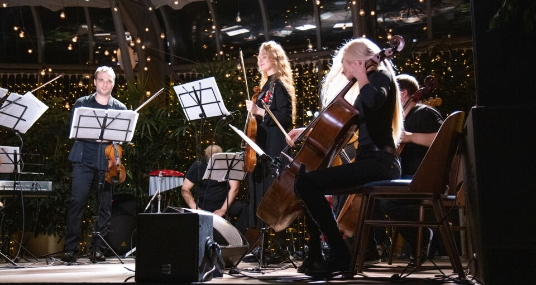 Концерт в оранжерее «Властелин колец. HighTime Orchestra»