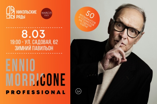 Ennio Morricone. Professional